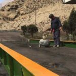 zoghalsang-alborz-sharghi